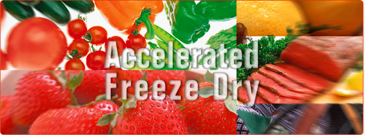 Accelerated Freeze Dry
